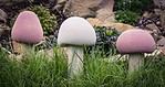 In 3 einfachen Schritten zum perfekten Beton-Pilz