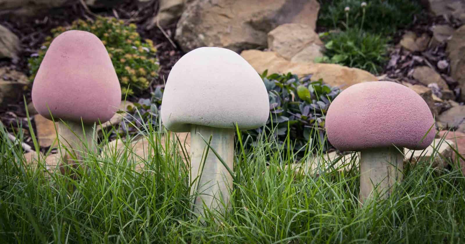 In 3 einfachen Schritten zum perfekten Beton-Pilz