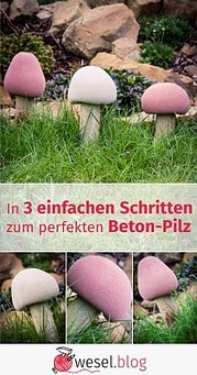 In 3 einfachen Schritten  zum perfekten Beton-Pilz