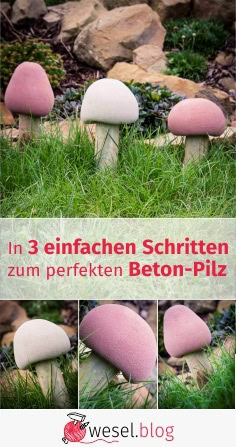 In 3 einfachen Schritten  zum perfekten Beton-Pilz