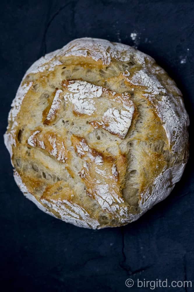 No-knead-Weizenmischbrot [Birgit D]