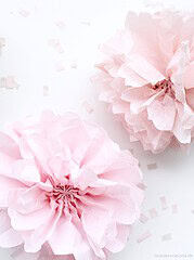 DIY Papier Pompoms