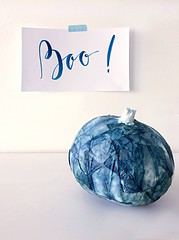 Shibori Kürbisse
