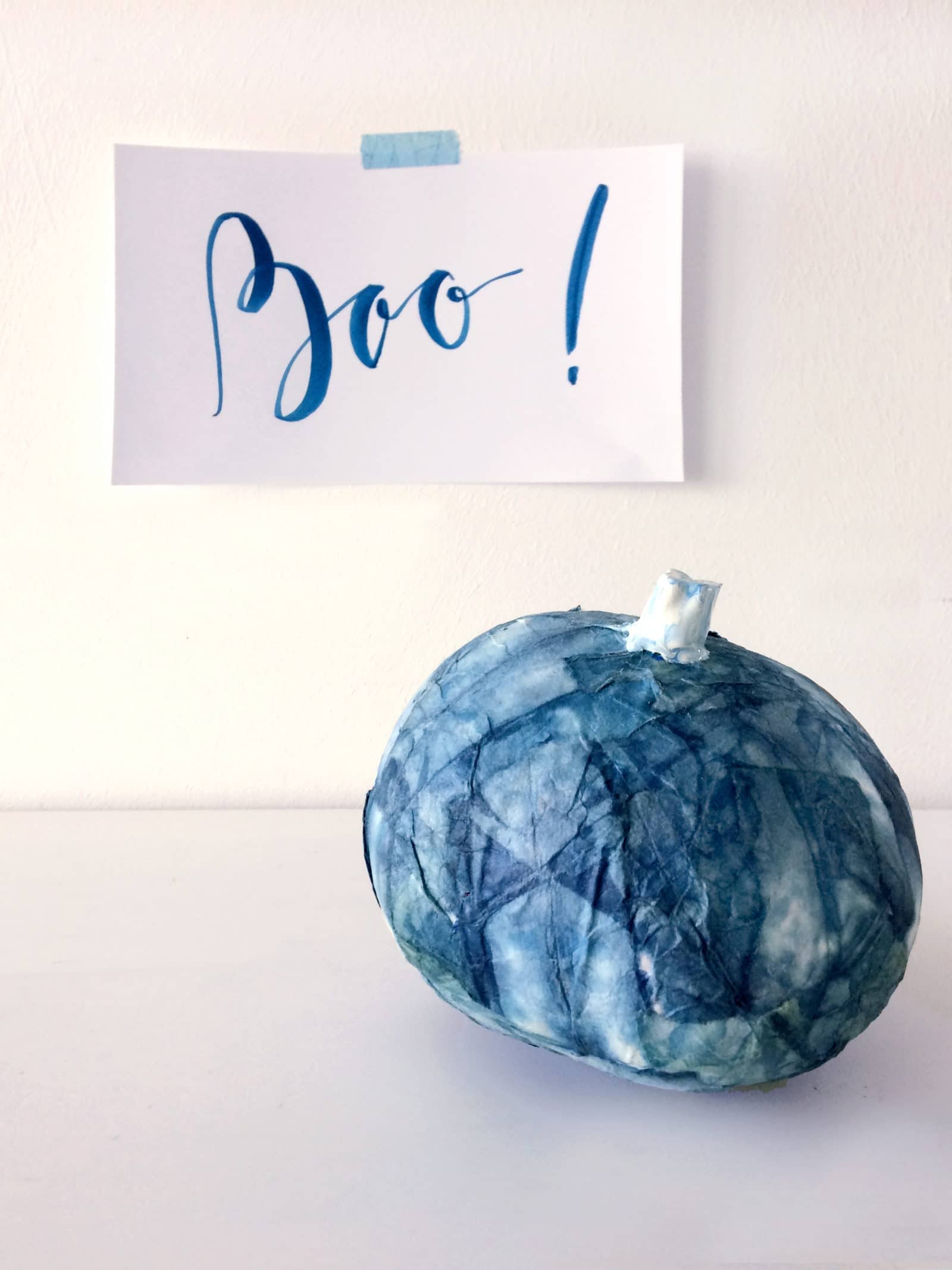 Shibori Kürbisse