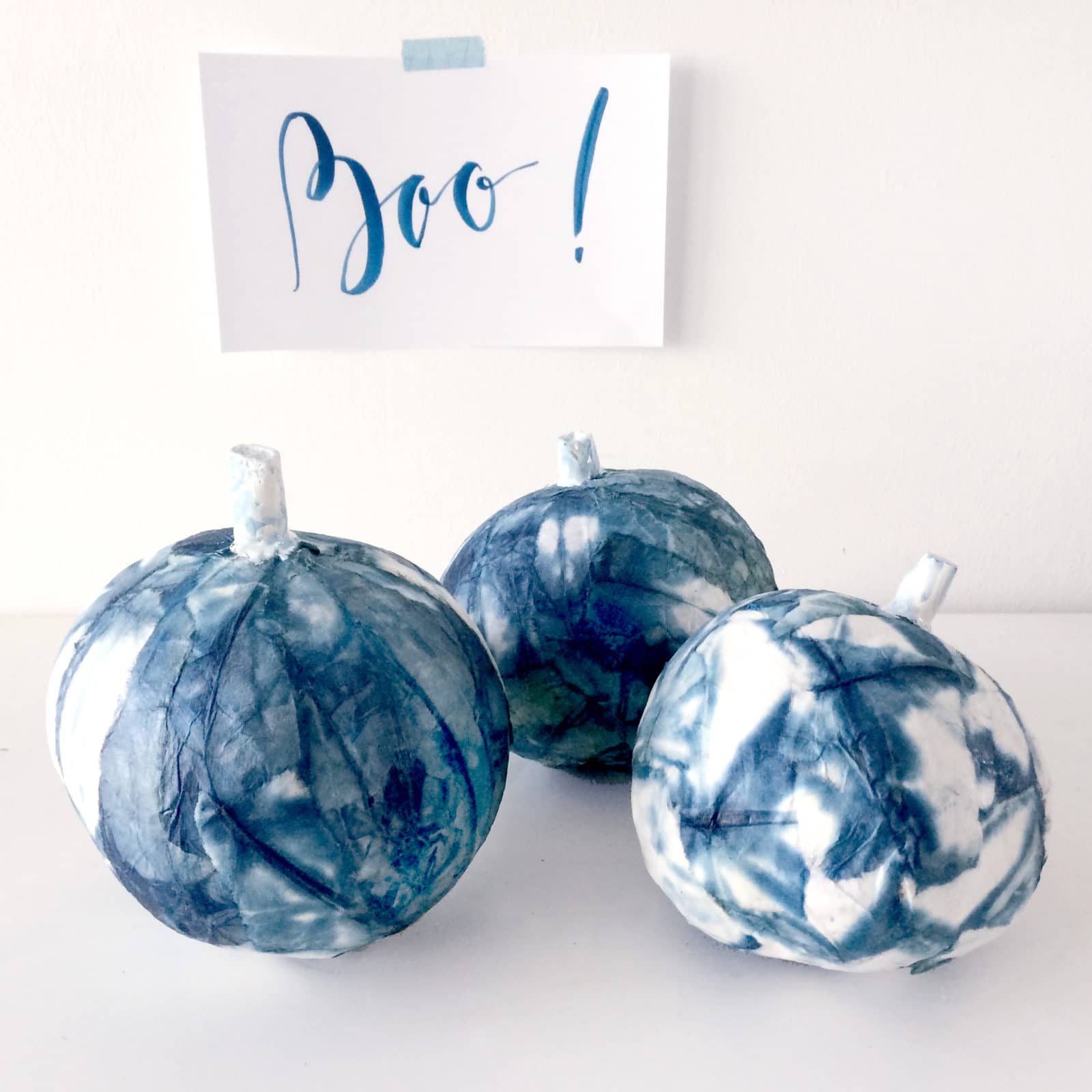 Shibori Kürbisse