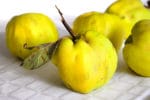 Rumänischer Quitten-Eintopf