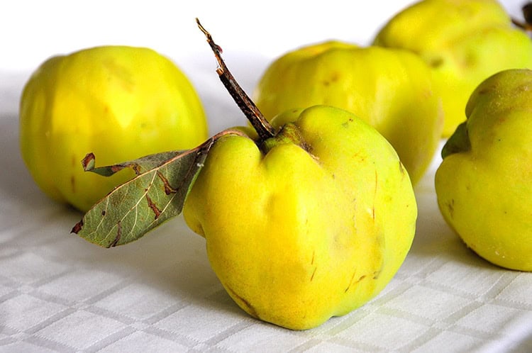 Rumänischer Quitten-Eintopf