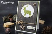 Weihnachtskarte mit dem Stempelset Freude im Advent von Stampin Up