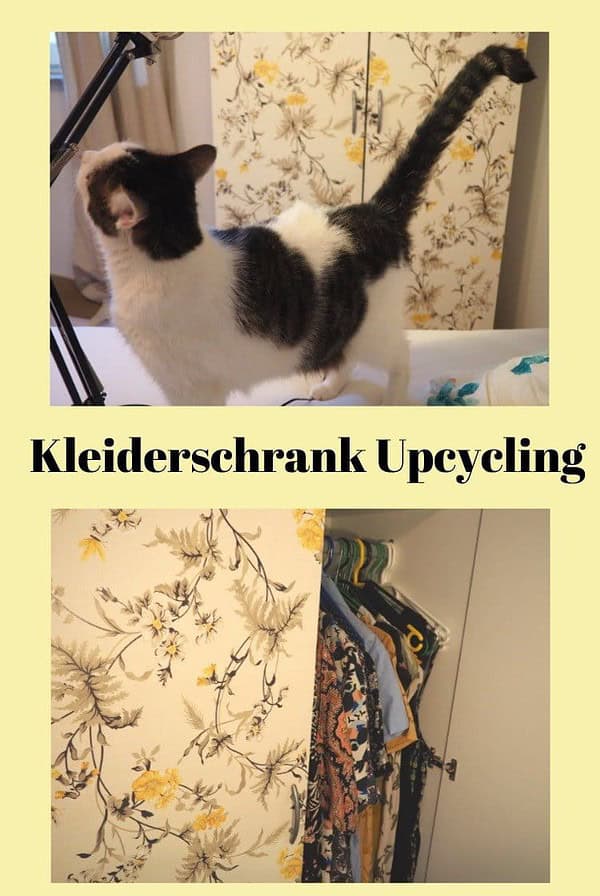 Kleiderschrank Upcycling