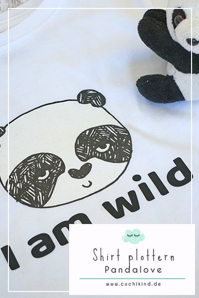 Wild Panda