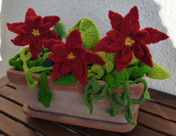 Der pflegeleichte Blumenkasten für die Weihnachtszeit