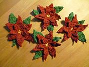 Der pflegeleichte Blumenkasten für die Weihnachtszeit