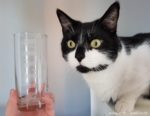 Glas ätzen