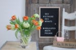 Fast schon Frühling: Tulpen & Schneeball