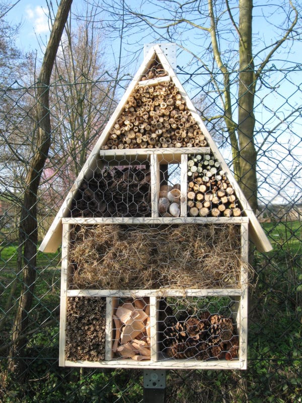 Insektenhotel selber bauen