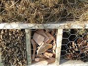 Insektenhotel selber bauen