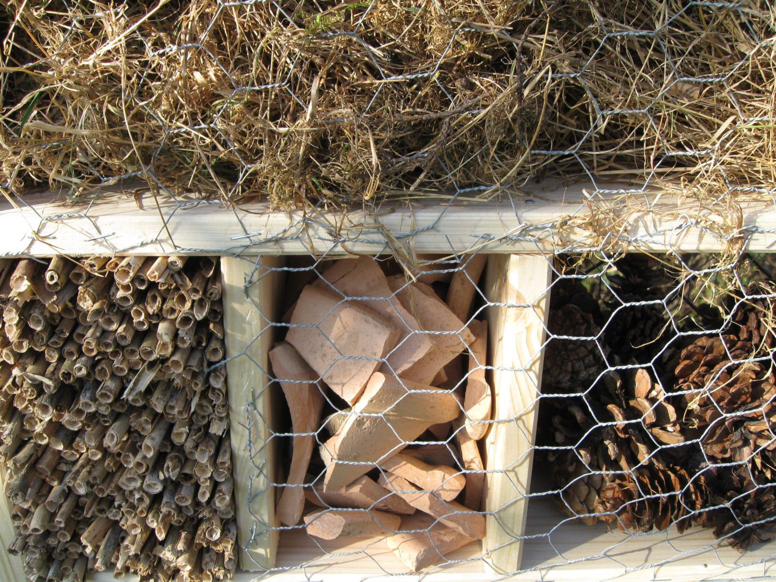Insektenhotel selber bauen