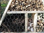 Insektenhotel selber bauen