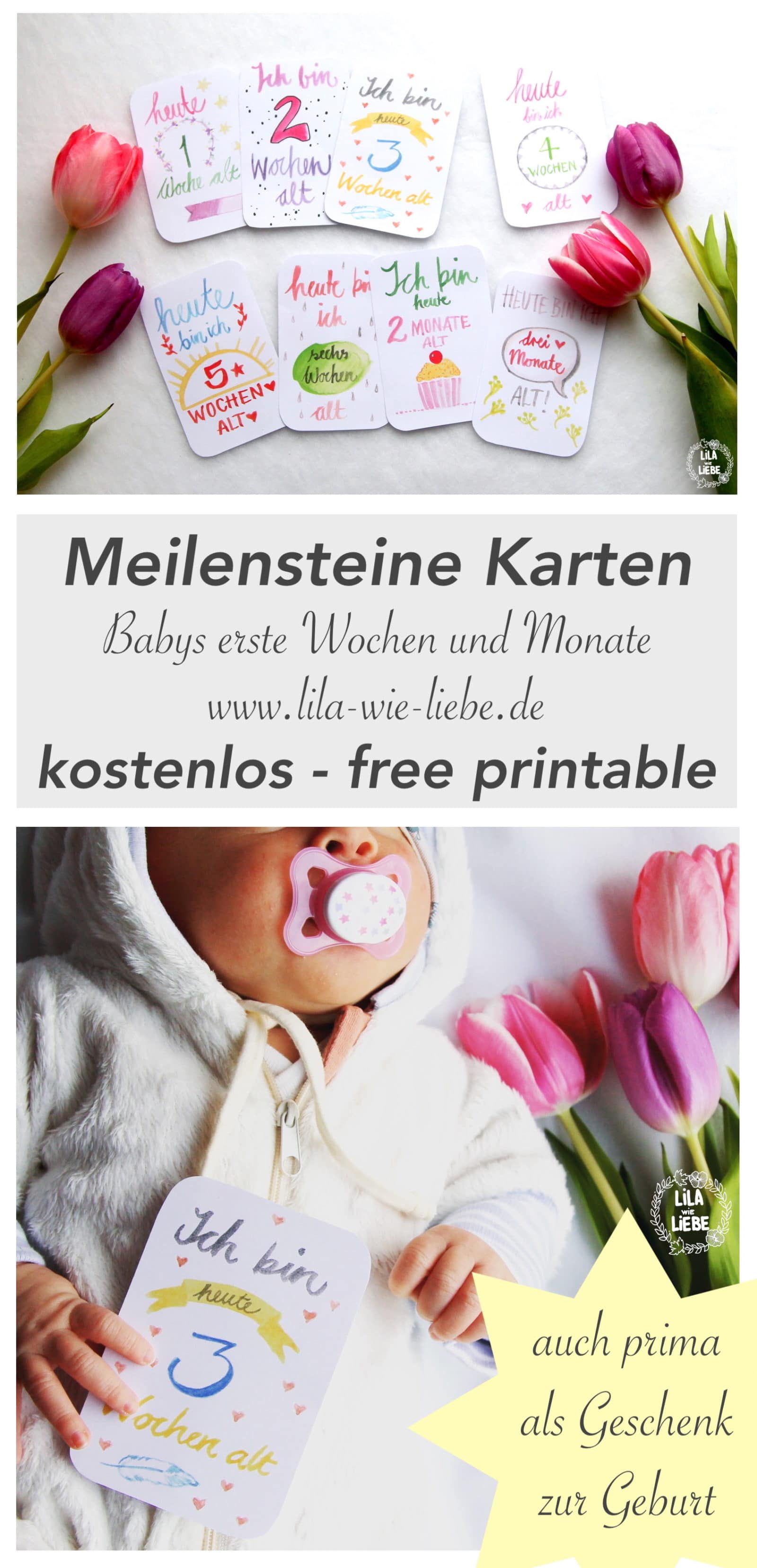 Baby Meilensteine Karten – free printable