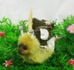 Kleine Schnecken nähen