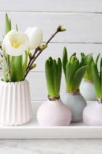 DIY – Hyazinthen in Wachs – Frühlingsdeko in Pastell