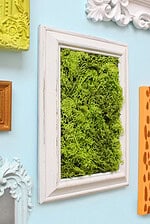 DIY MOOSBILD SELBER MACHEN / WANDDEKO MIT ISLANDMOOS