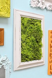 DIY MOOSBILD SELBER MACHEN / WANDDEKO MIT ISLANDMOOS