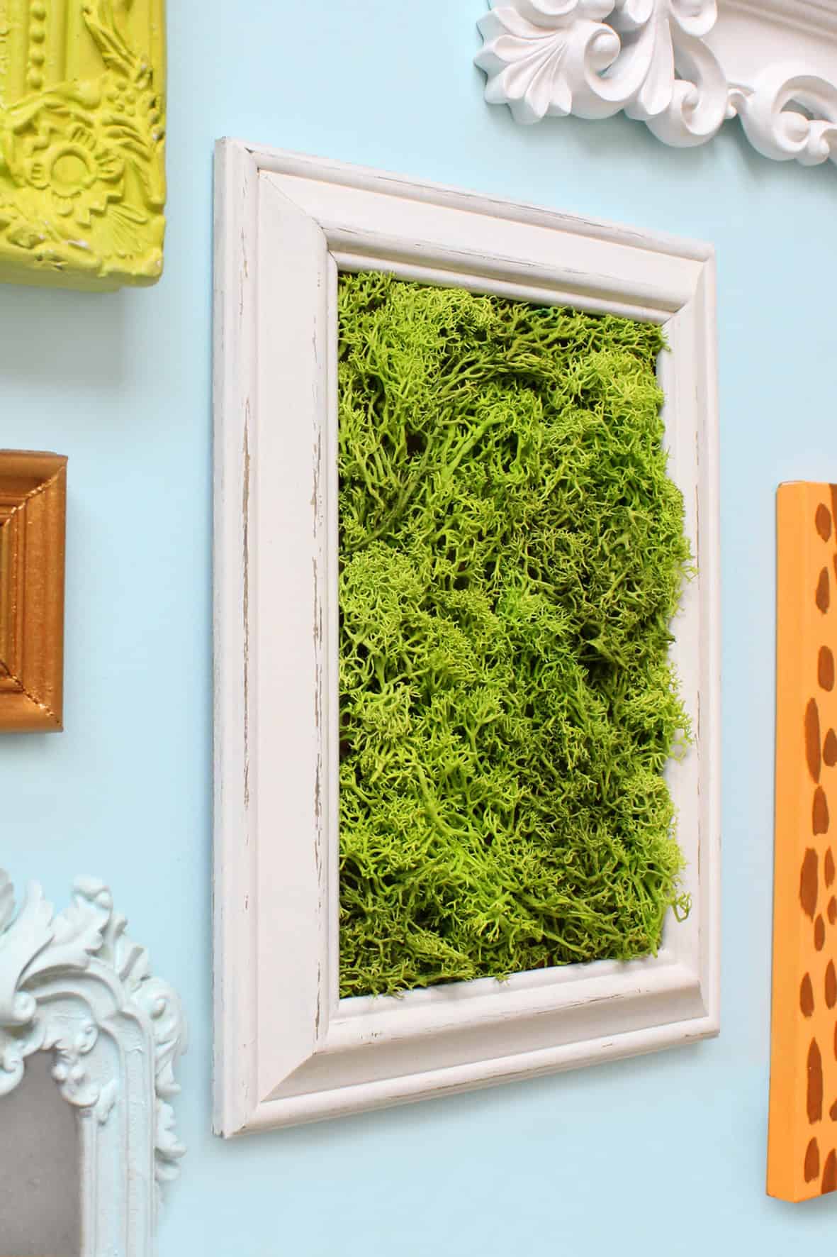 DIY MOOSBILD SELBER MACHEN / WANDDEKO MIT ISLANDMOOS