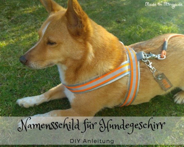 Namensschild für das Hundegeschirr