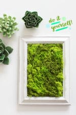 DIY MOOSBILD SELBER MACHEN / WANDDEKO MIT ISLANDMOOS