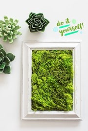 DIY MOOSBILD SELBER MACHEN / WANDDEKO MIT ISLANDMOOS