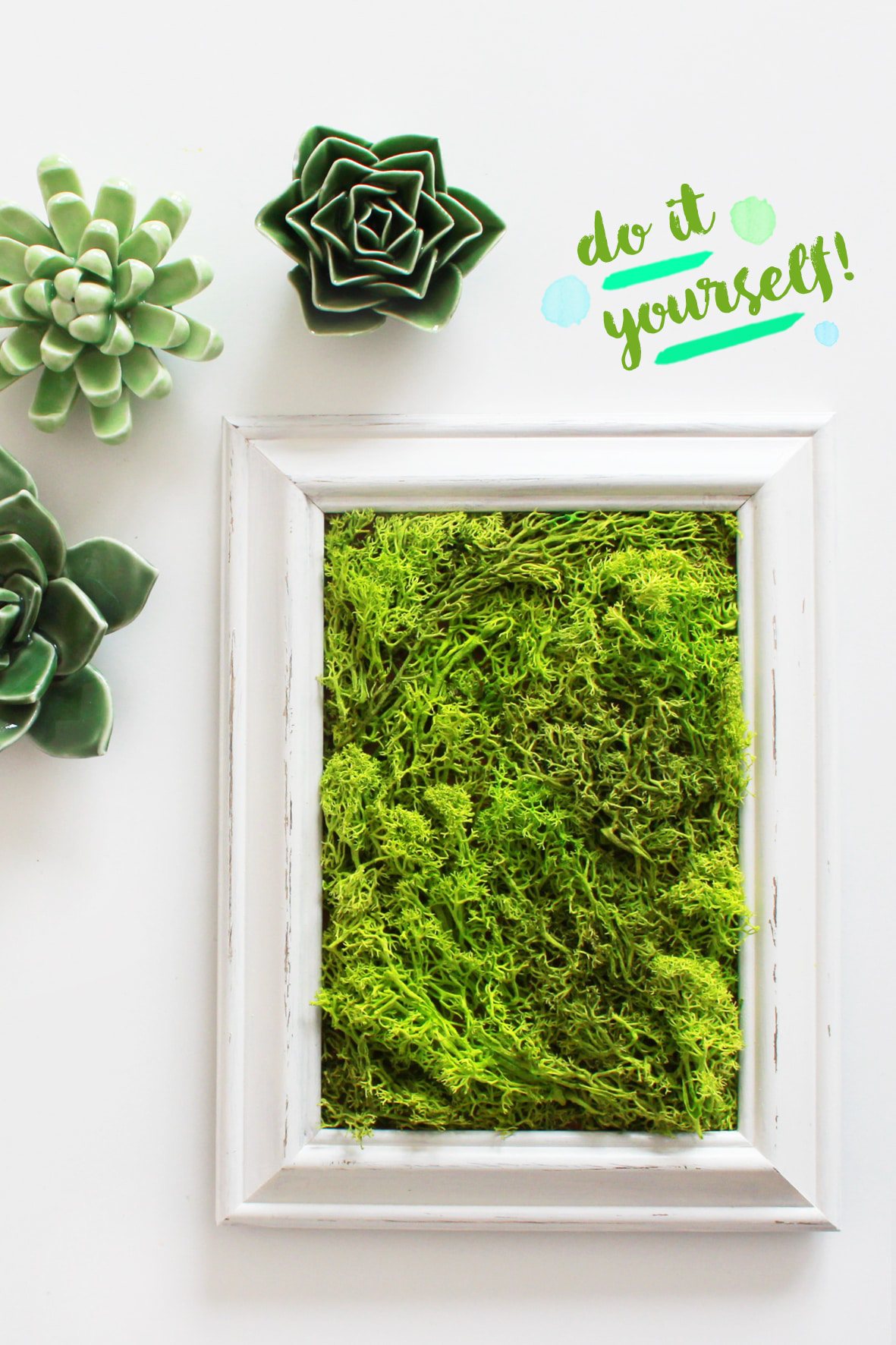 DIY MOOSBILD SELBER MACHEN / WANDDEKO MIT ISLANDMOOS