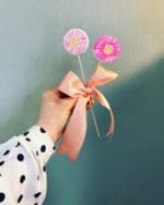 Bellis – Nicht nur hübsch im Beet