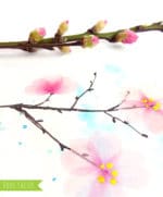 Zweige mit Kirschblüten aus Flower Washi Tape