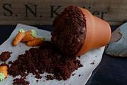Schokoladenmuffins im Terracotta-Blumentopf mit Mini-Rüblis