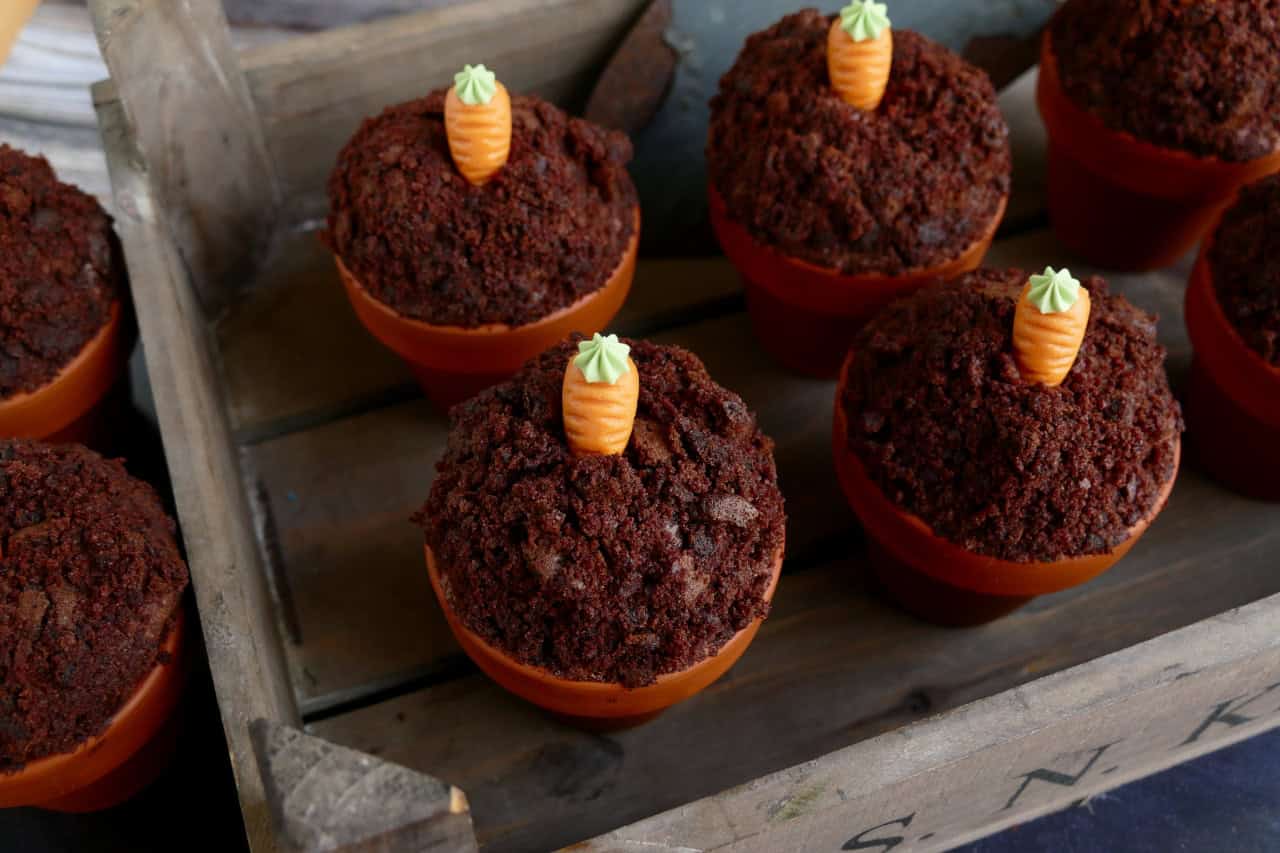 Schokoladenmuffins im Terracotta-Blumentopf mit Mini-Rüblis