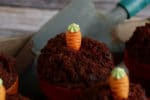 Schokoladenmuffins im Terracotta-Blumentopf mit Mini-Rüblis