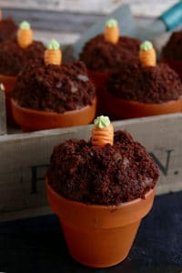 Schokoladenmuffins im Terracotta-Blumentopf mit Mini-Rüblis
