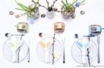 3 DIY Osterdeko Ideen mit Papier