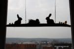 Fensterdekoration an Ostern