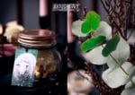 Tierisch wilde Schaf Cookies