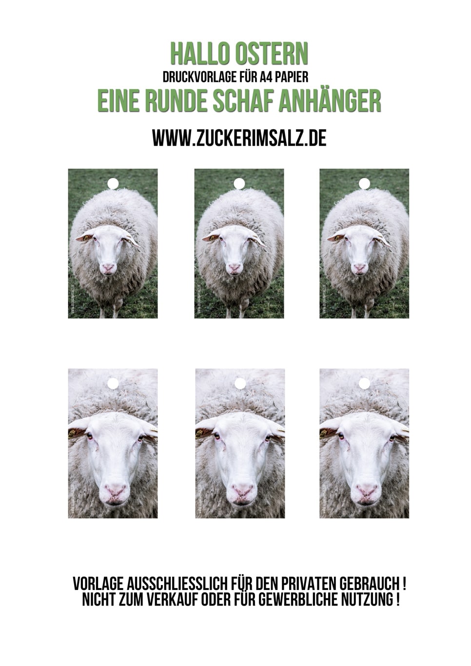Tierisch wilde Schaf Cookies