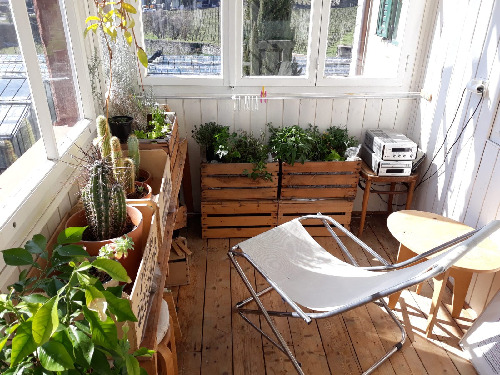 Urban Gardening auf unserer Veranda