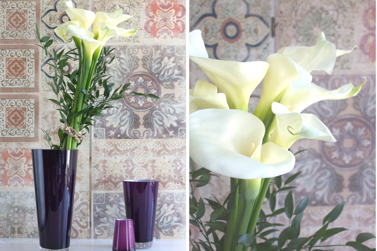 Trendfarbe Violett: tolles Styling für weiße Callas