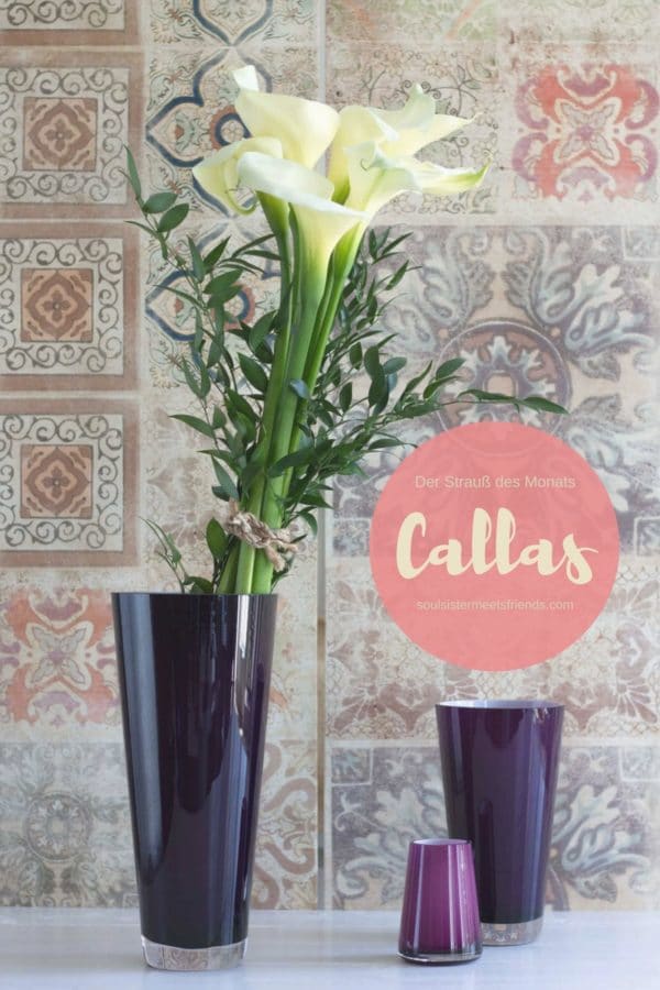Trendfarbe Violett: tolles Styling für weiße Callas