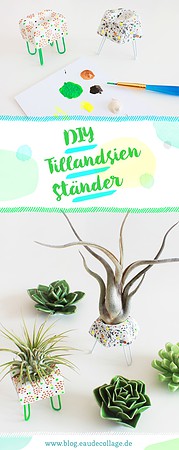 DIY TILLANDSIENSTÄNDER / TILLANDSIENHALTER