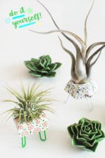 DIY TILLANDSIENSTÄNDER / TILLANDSIENHALTER