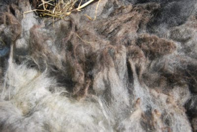 Von der Schafswolle zum Garn- Wollworkshop am Samstag, den 27.04.2019 14h-18h Von der Schafswolle zum Garn- Wollworkshop am Samstag, den 27.04.2019 14h-18h