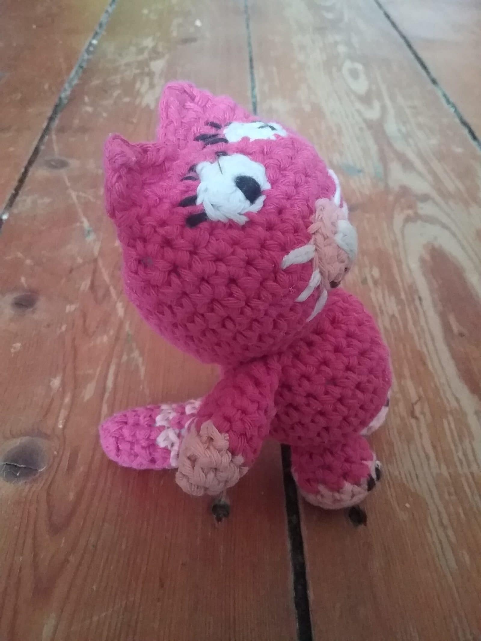 Nancy Cat