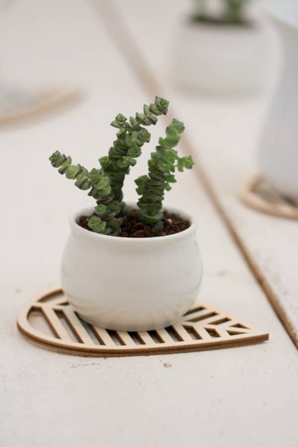 Untersetzer aus Holz 4er-Set "Blatt"